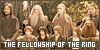 Lord of the Rings: Fellowship of the Ring: 