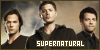 Supernatural: 
